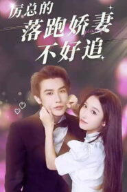 Li Yan’s Wife Is Not Easy to Chase