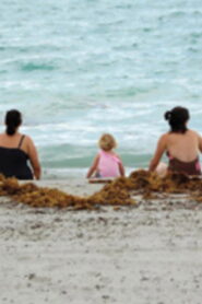 Rocking the Cradle: Gay Parenting