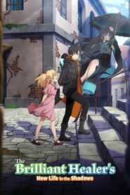 The Brilliant Healer’s New Life in the Shadows