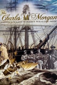 The Charles W Morgan America’s Last Wooden Whaling Ship