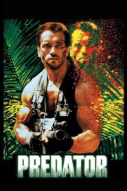 Predator