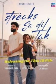 Streaks Se Dil Tak