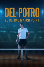Del Potro, el último match point